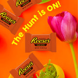 Reeses Peanut Butter Cups Milk Chocolate Snack Size Bulk Bag