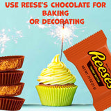 Reeses Peanut Butter Cups Milk Chocolate Snack Size Bulk Bag