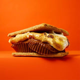 Reeses Peanut Butter Cups Milk Chocolate Snack Size Bulk Bag